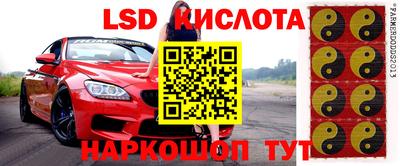 дмт Новодвинск