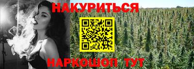 дмт Новодвинск