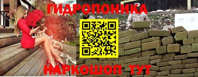 дмт Новодвинск